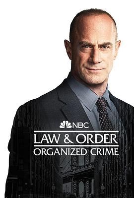 法律与秩序：组织犯罪 第3季